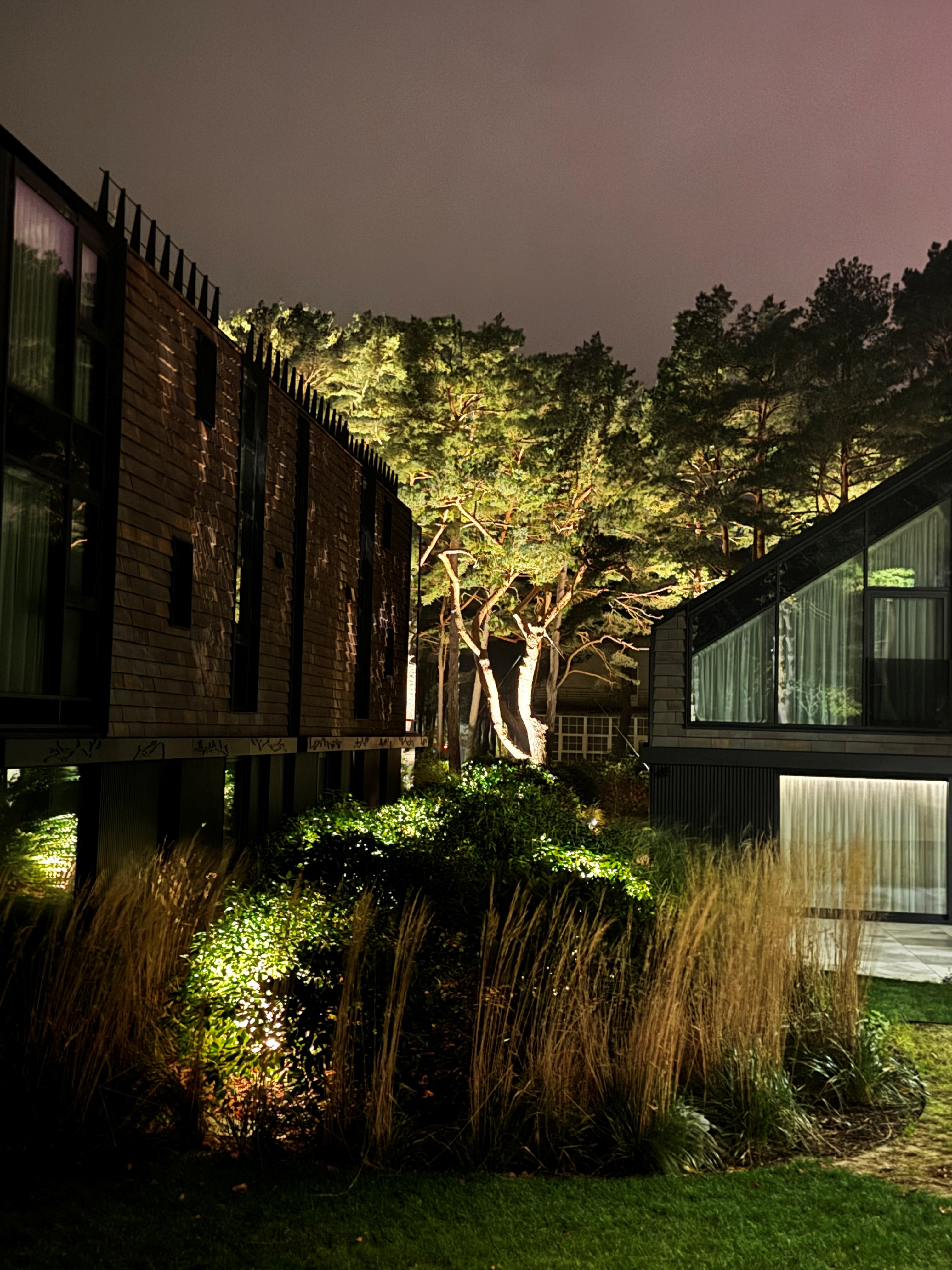 Landscape lighting — trees